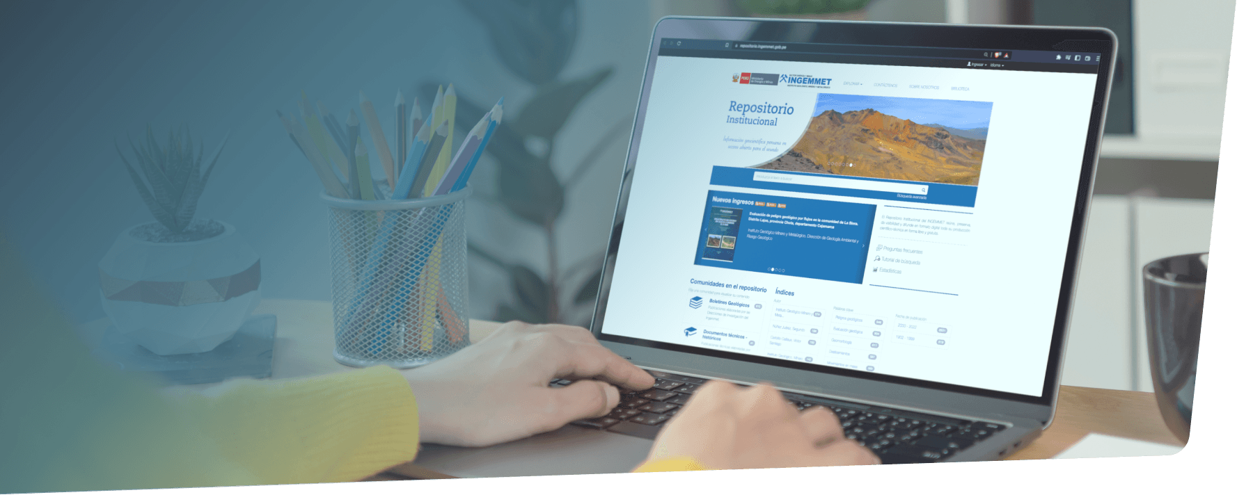 Especialistas en repositorios digitales